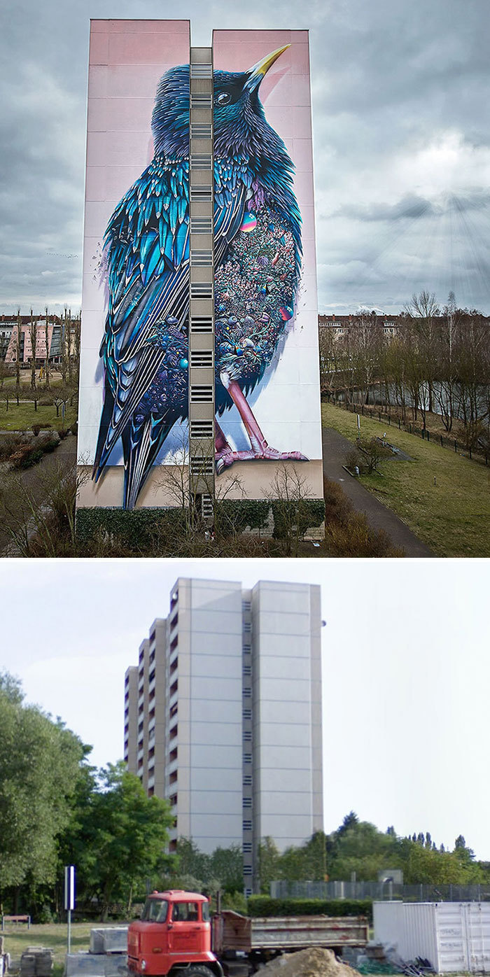 Giant Starling Mural in Berlin