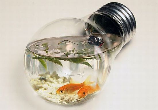Light bulb aquarium