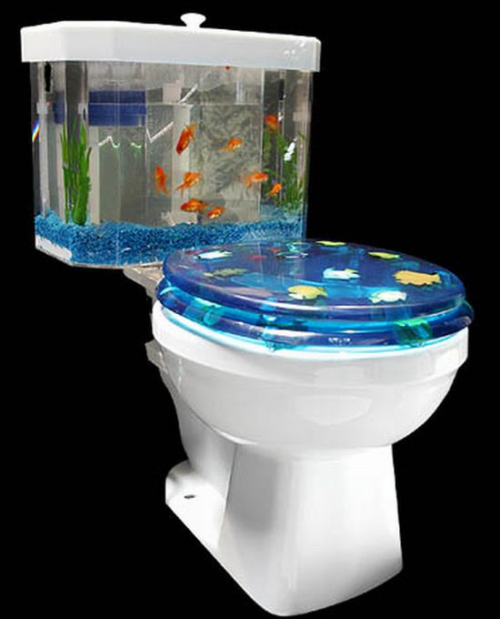 Toilet aquarium