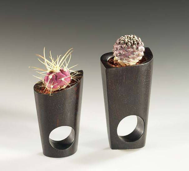 Cactus Pot Ring