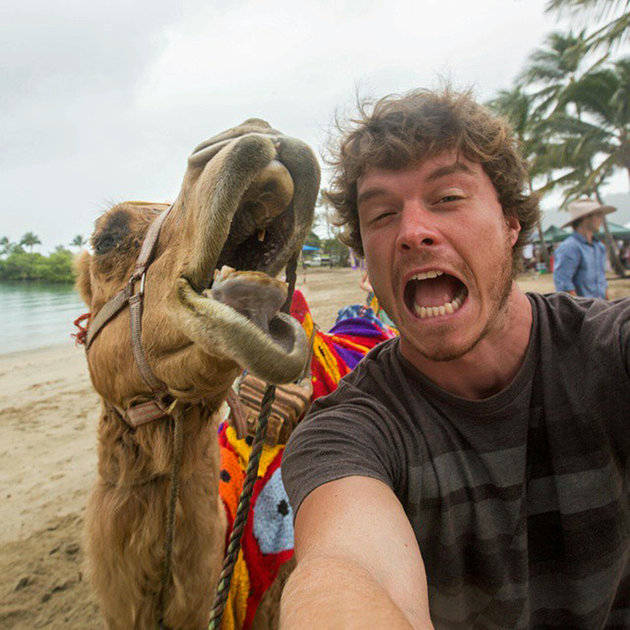PIC BY @DAXON / CATERS NEWS - (PICTURED: Allan Dixon takes selfie with camel) This real-life Dr. Dolittle walks with the animals, talks with the animals, and... TAKES SELFIES with them. Traveller Allan Dixon has amassed a hilarious collection of shots with a variety of exotic creatures. Included in the 29-year-olds collection are smiling snaps with the likes of kangaroos, quokkas, camels and sea lions. In some of the shots, Allan, who is originally from Wicklow, Ireland, can even be seen in festive poses, placing a Santa hat on himself or his furry friends. - SEE CATERS COPY