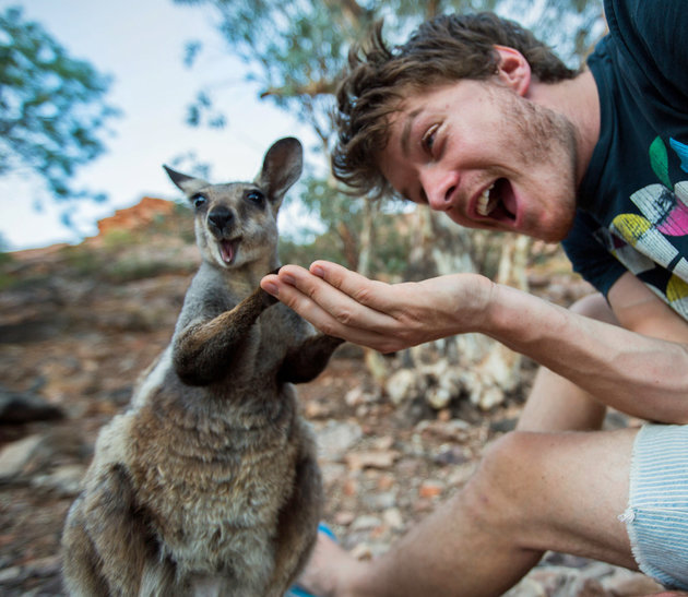 PIC BY @DAXON / CATERS NEWS - (PICTURED: Allan Dixon takes selfie with wallaby) This real-life Dr. Dolittle walks with the animals, talks with the animals, and... TAKES SELFIES with them. Traveller Allan Dixon has amassed a hilarious collection of shots with a variety of exotic creatures. Included in the 29-year-olds collection are smiling snaps with the likes of kangaroos, quokkas, camels and sea lions. In some of the shots, Allan, who is originally from Wicklow, Ireland, can even be seen in festive poses, placing a Santa hat on himself or his furry friends. - SEE CATERS COPY