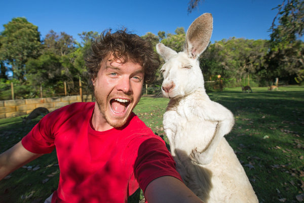 PIC BY @DAXON / CATERS NEWS - (PICTURED: Allan Dixon takes selfie with albino kangaroo) This real-life Dr. Dolittle walks with the animals, talks with the animals, and... TAKES SELFIES with them. Traveller Allan Dixon has amassed a hilarious collection of shots with a variety of exotic creatures. Included in the 29-year-olds collection are smiling snaps with the likes of kangaroos, quokkas, camels and sea lions. In some of the shots, Allan, who is originally from Wicklow, Ireland, can even be seen in festive poses, placing a Santa hat on himself or his furry friends. - SEE CATERS COPY