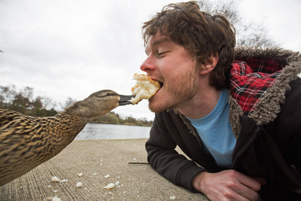 PIC BY @DAXON / CATERS NEWS - (PICTURED: Allan Dixon takes selfie with duck) This real-life Dr. Dolittle walks with the animals, talks with the animals, and... TAKES SELFIES with them. Traveller Allan Dixon has amassed a hilarious collection of shots with a variety of exotic creatures. Included in the 29-year-olds collection are smiling snaps with the likes of kangaroos, quokkas, camels and sea lions. In some of the shots, Allan, who is originally from Wicklow, Ireland, can even be seen in festive poses, placing a Santa hat on himself or his furry friends. - SEE CATERS COPY