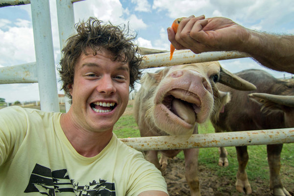 PIC BY @DAXON / CATERS NEWS - (PICTURED: Allan Dixon takes selfie with cow) This real-life Dr. Dolittle walks with the animals, talks with the animals, and... TAKES SELFIES with them. Traveller Allan Dixon has amassed a hilarious collection of shots with a variety of exotic creatures. Included in the 29-year-olds collection are smiling snaps with the likes of kangaroos, quokkas, camels and sea lions. In some of the shots, Allan, who is originally from Wicklow, Ireland, can even be seen in festive poses, placing a Santa hat on himself or his furry friends. - SEE CATERS COPY